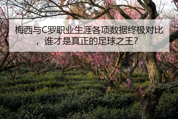 梅西与C罗职业生涯各项数据终极对比，谁才是真正的足球之王？